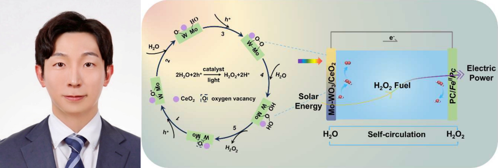 반도체전자공학부 임주원 교수 연구팀, 이종접합 반도체 광전극 개발로 차세대 광전화학 전지 성능 획기적 향상 이미지